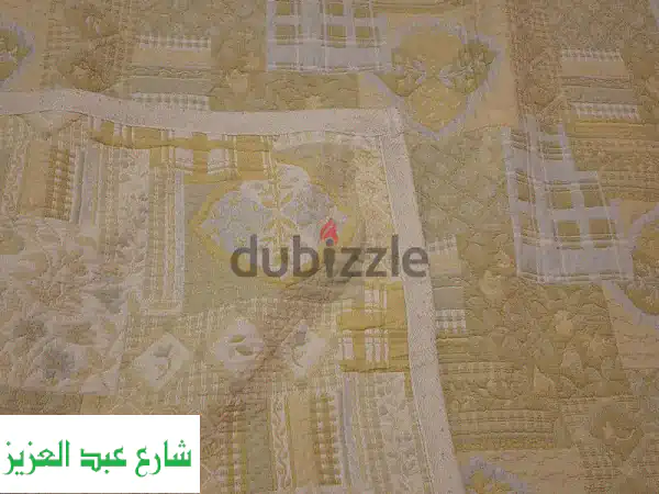الاسكندريه