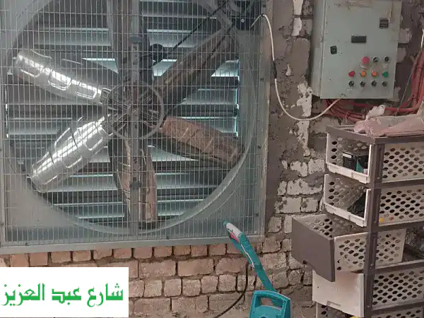 فرصة استثمار الذهب الأبيض! صوبة تسمين دواجن متكاملة بالعبور جاهزة للتشغيل الفوري