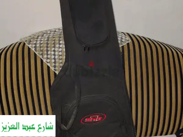 electric Guitar Case SKB