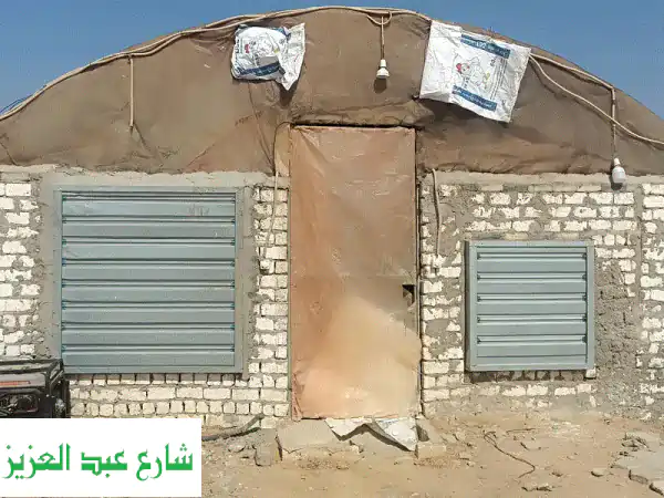 فرصة استثمار الذهب الأبيض! صوبة تسمين دواجن...