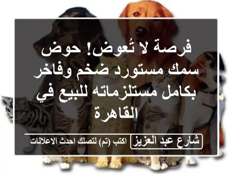 فرصة لا تُعوض! حوض سمك مستورد ضخم وفاخر...