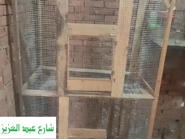 الجيزة عند مستشفي ام المصريين