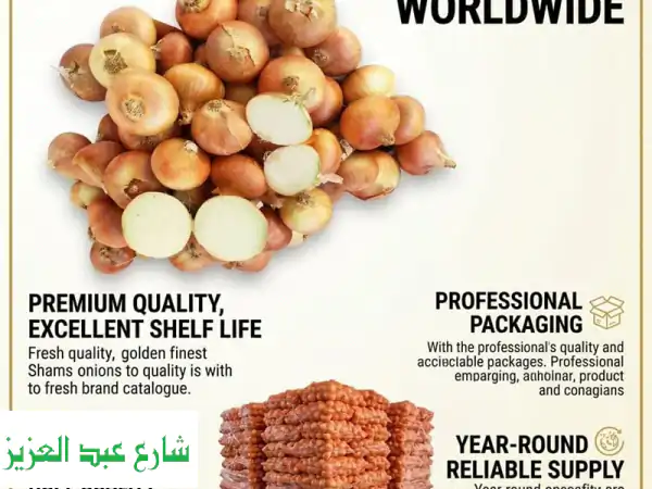 your trusted partner for egyptian golden onion export at al  shams for exporting, we specialize...