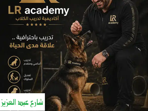 درب كلبك بالمنزل: أكاديمية LR | استشارات تدريب 24/7