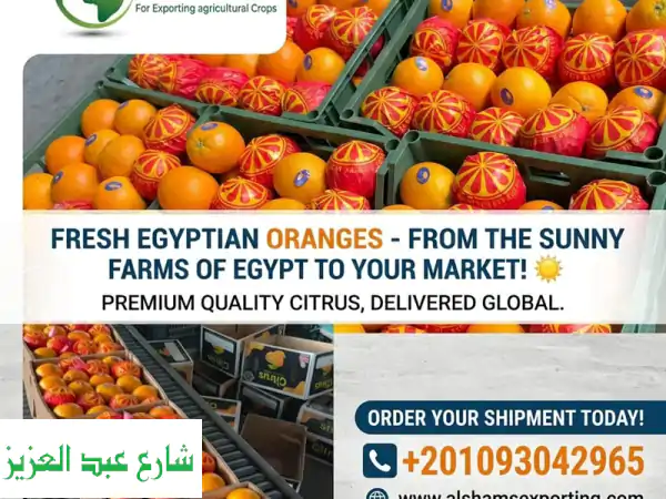 bring the golden sunshine of egypt straight to your market