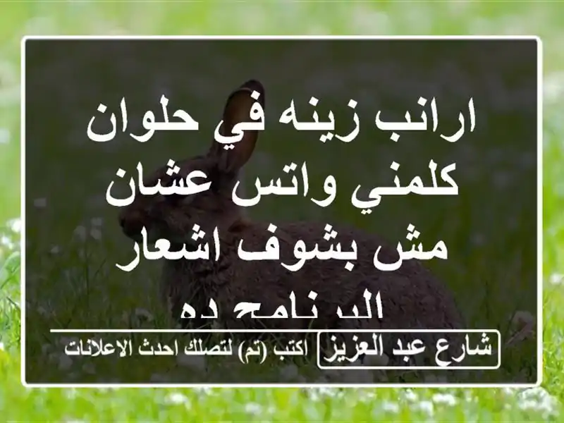 ارانب زينه في حلوان كلمني واتس عشان مش بشوف...