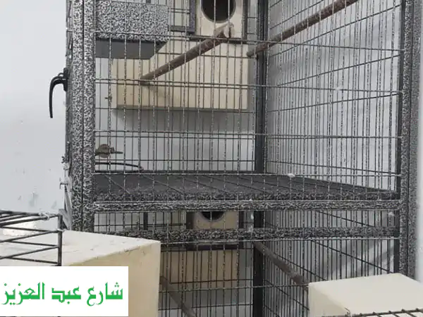 قفص طيور