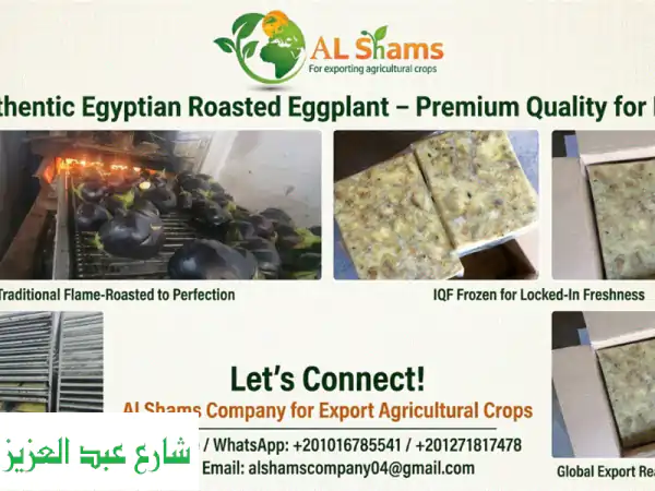 authentic egyptian roasted eggplant  premium quality for export are you looking for the perfect ...