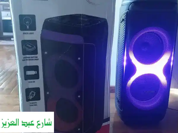 Platinum DJ Speaker