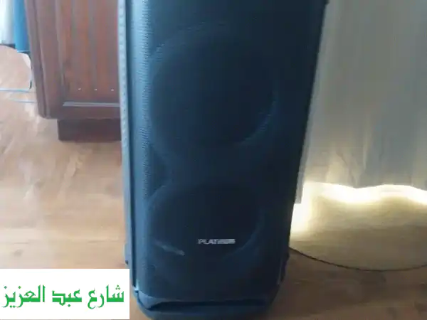 Platinum DJ Speaker