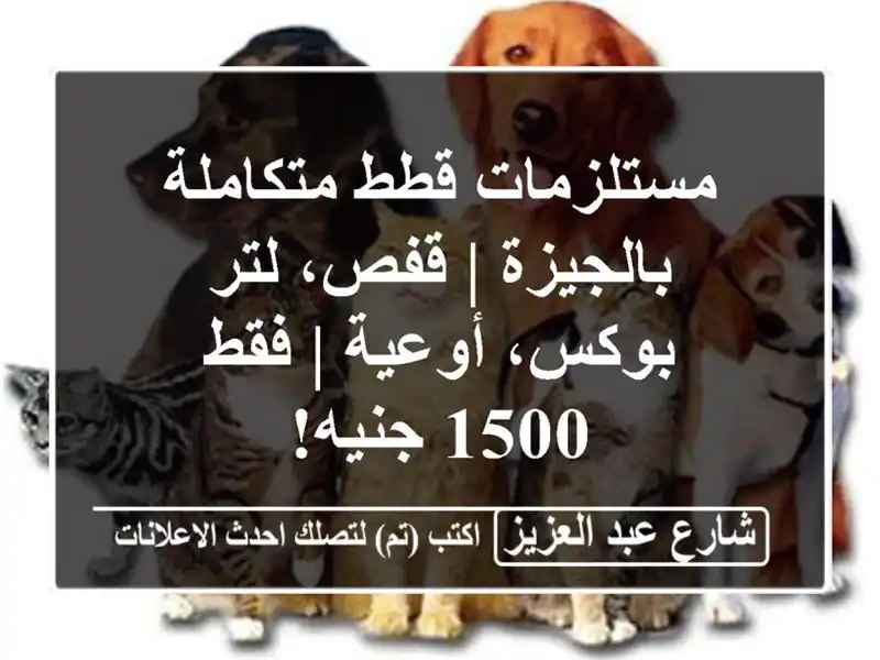 مستلزمات قطط متكاملة بالجيزة | قفص، لتر بوكس، أوعية | فقط 1500 جنيه!