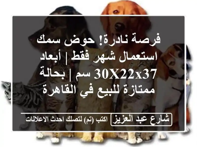 فرصة نادرة! حوض سمك استعمال شهر فقط | أبعاد 30x22x37 سم...