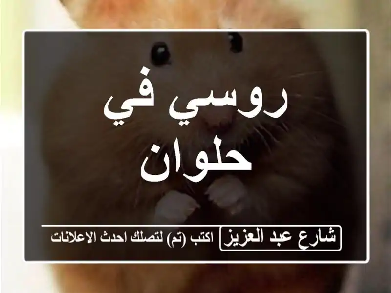 روسي في حلوان