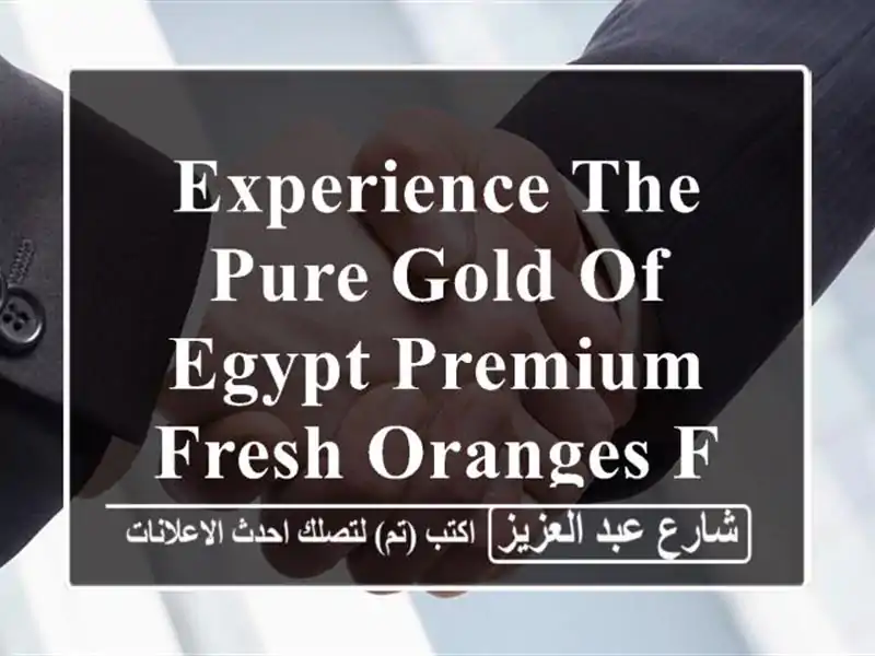 experience the pure gold of egypt premium fresh oranges from al shams company discover the standard ...