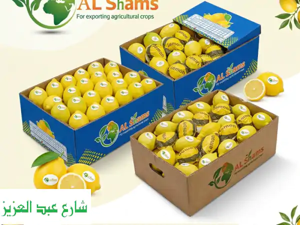 fresh egyptian lemons nature’s gold, delivered fresh looking for the finest lemons for...