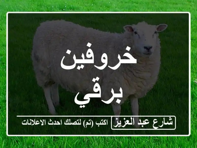 خروفين برقي