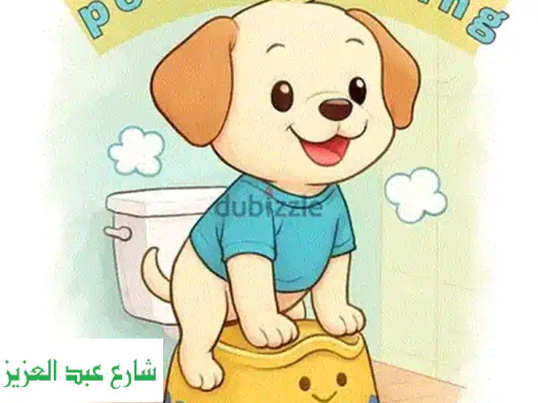 تدريب وتعديل سلوك كلاب الامن والحراسه وكلاب الزينه