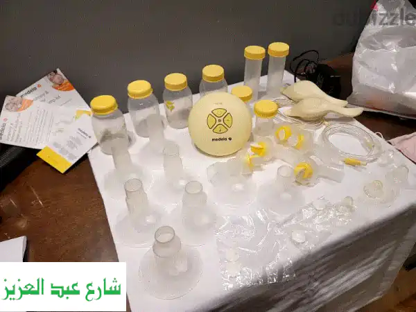 Medela Swing Electric Pump