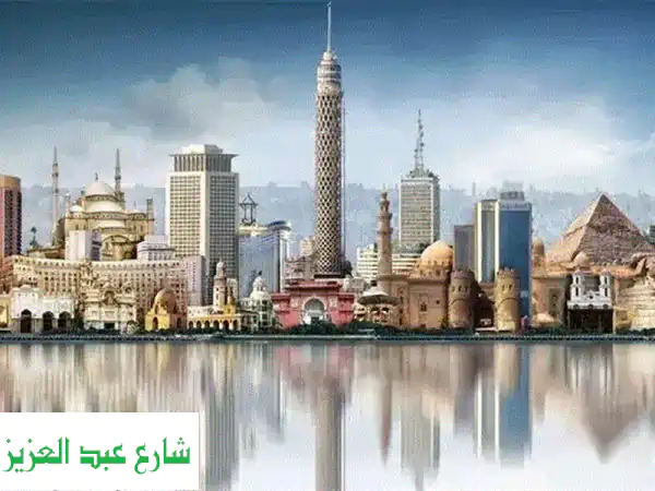 صيانة منزلية شاملة لربات البيوت: خدمات...