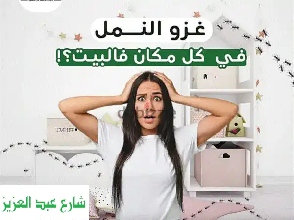وداعاً للنمل والصراصير! مكافحة حشرات بالقاهرة...