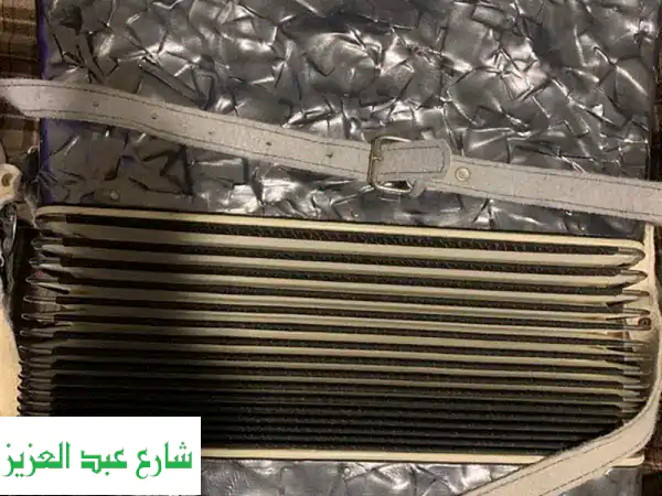 اكورديون accordion new parrot