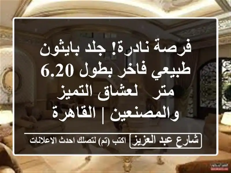 فرصة نادرة! جلد بايثون طبيعي فاخر بطول 6.20 متر -...