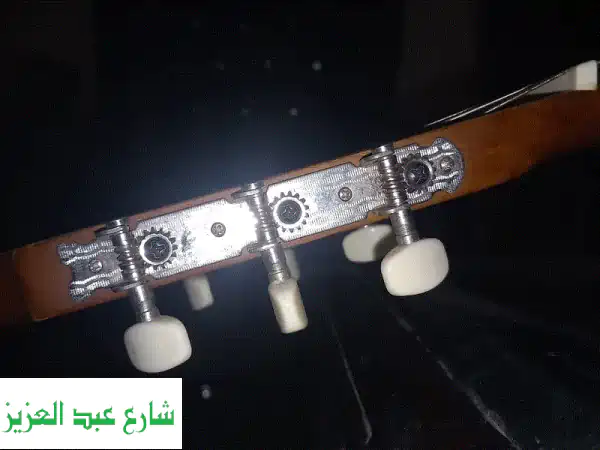 جيتار كلاسيك لوسيدا  lc400