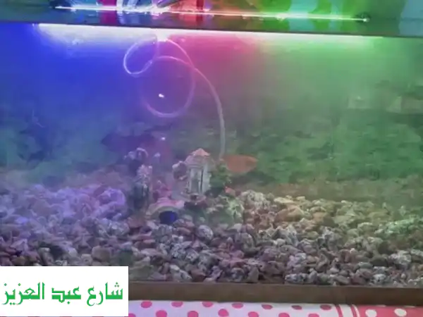 فرصة ذهبية! حوض سمك كامل 70x30 سم متكامل وجاهز...