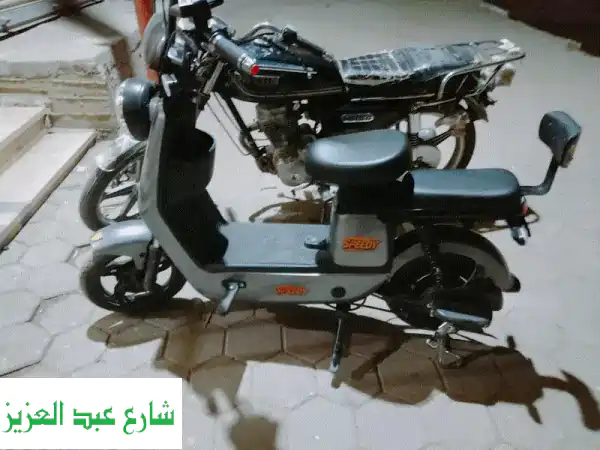 فاقوس الشرقيه