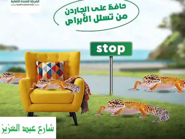 مكافحة جميع انواع الحشرات والقوارض نتيجه فورية