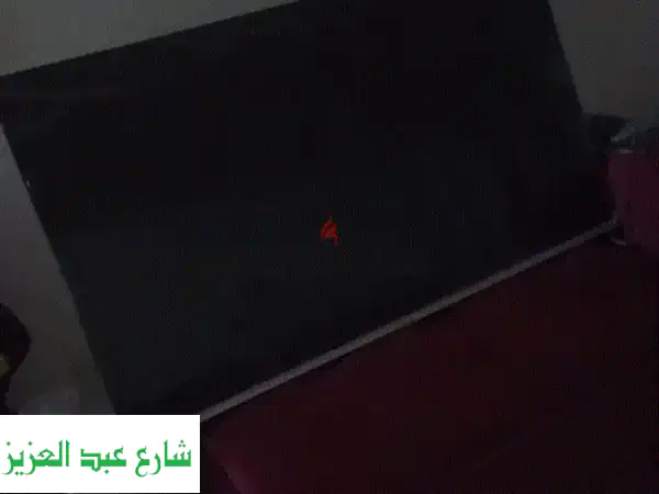 تلفزيون