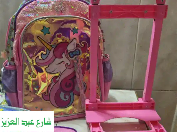 شنطة مدرسية مقاس ١٧. . school bag