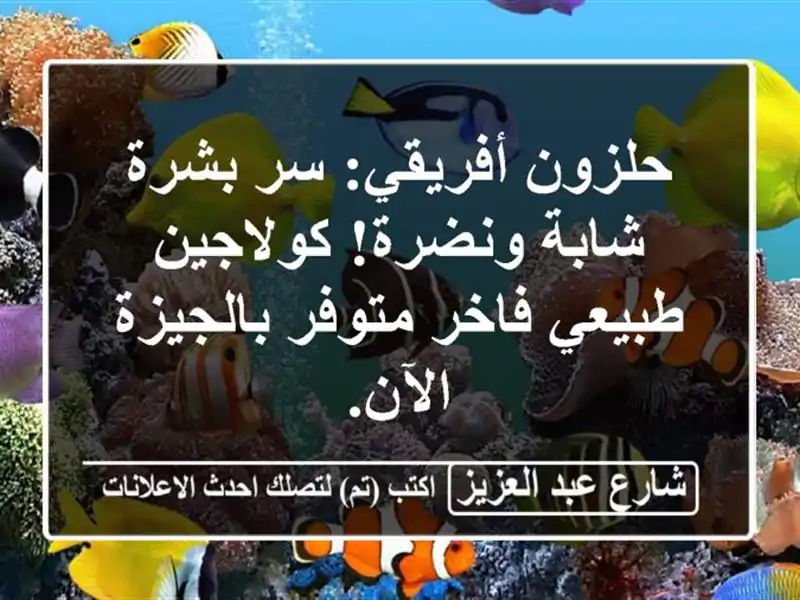 حلزون أفريقي: سر بشرة شابة ونضرة! كولاجين طبيعي فاخر متوفر بالجيزة الآن.