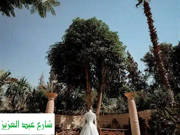التقط ذكريات لا تُنسى: مصور ومصورة محترفون...