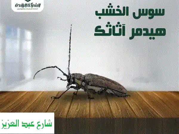 مكافحة الحشرات والقوارض بضمان الصفوة: إبادة فورية وحلول آمنة لمنزلك!