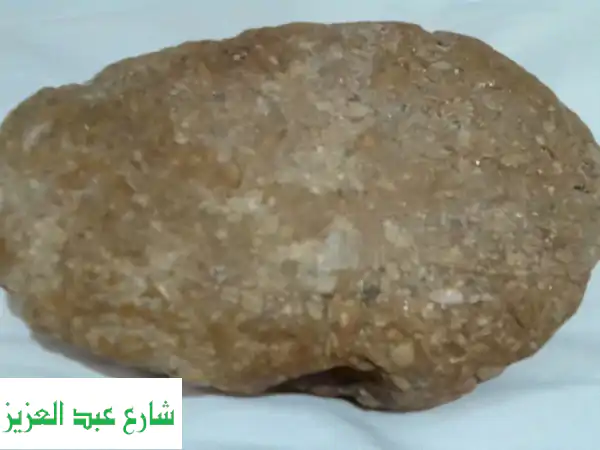 حجر يوسف أو حجر الحنطة، بقايا قمح متحجرة داخل...