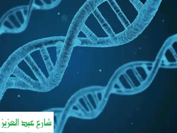 معلمة علوم متميزة: مناهج عربية ولغات | شرح،...
