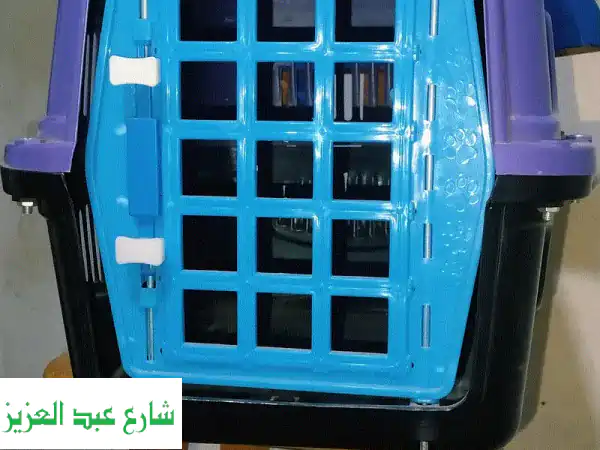 اكسسوارات قطط