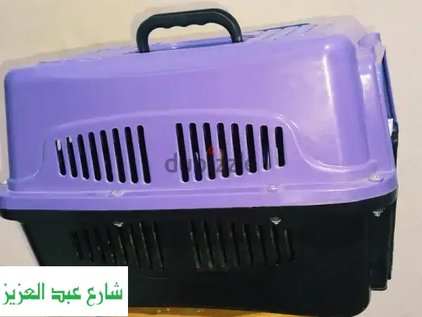 اكسسوارات قطط