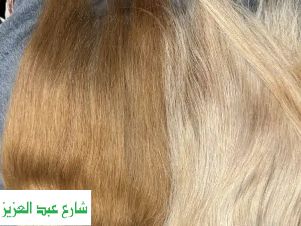 👑 شعر طبيعي هندي بلوند فاخر | جودة ممتازة | إشراقة...