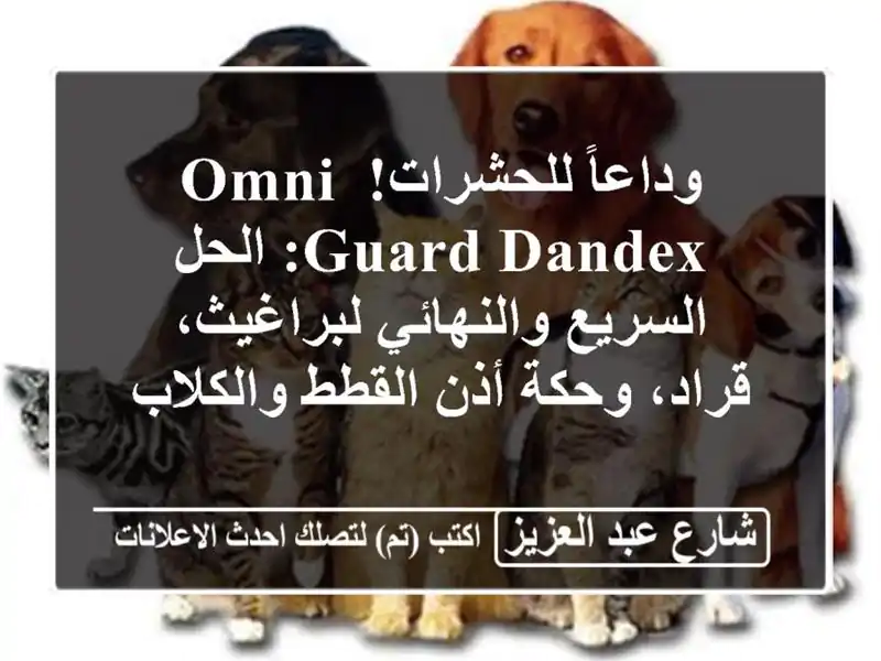 وداعاً للحشرات! OMNI GUARD DANDEX: الحل السريع...