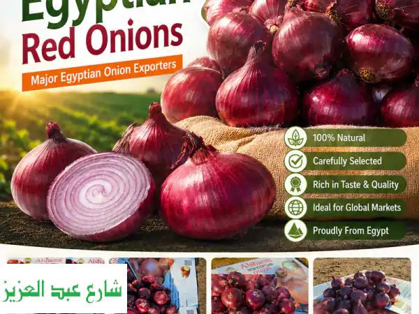 at al shams company for export agricultural crops, we understand that quality begins at the...