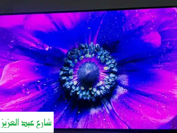 Samsung S90 D 55 Inch QDOLED TV