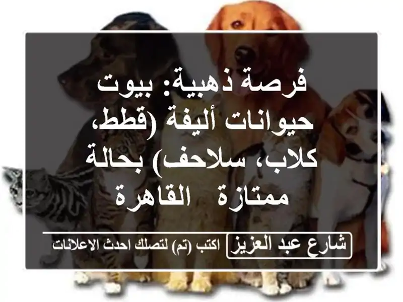 فرصة ذهبية: بيوت حيوانات أليفة (قطط، كلاب، سلاحف) بحالة ممتازة - القاهرة