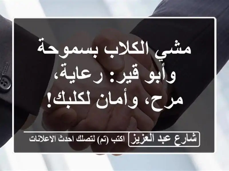 مشي الكلاب بسموحة وأبو قير: رعاية، مرح، وأمان لكلبك!