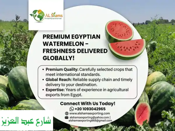 premium egyptian watermelon  freshness delivered globally