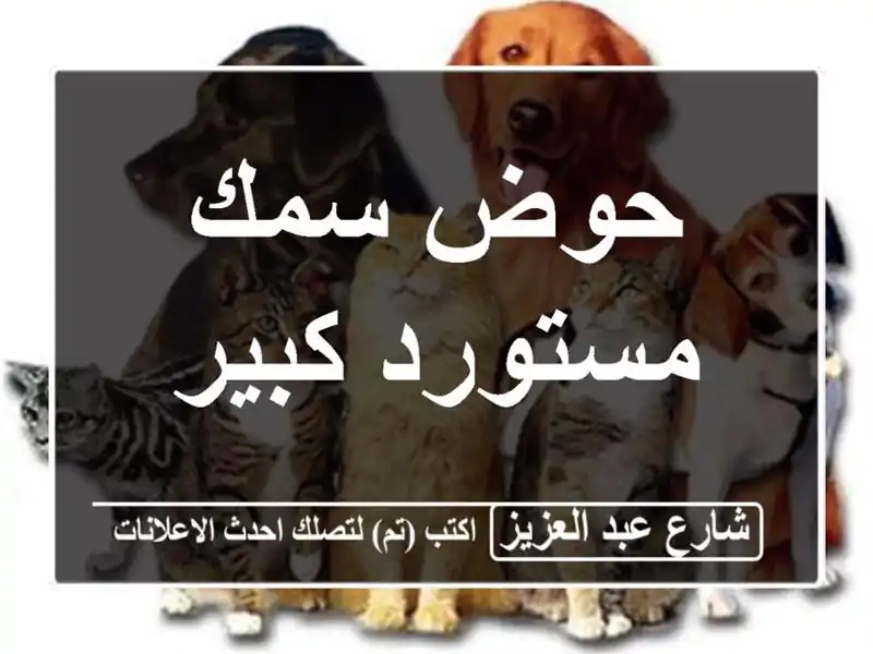 حوض سمك مستورد كبير
