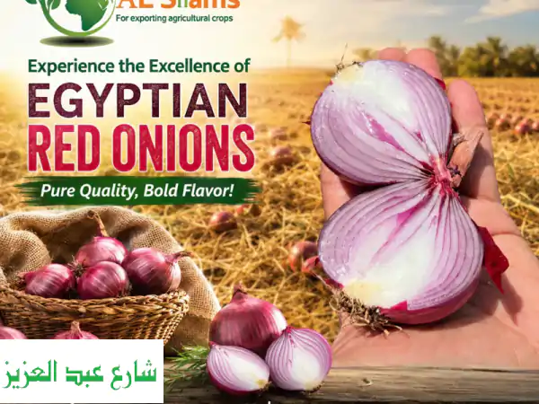 experience the excellence of egyptian red onions  pure quality, bold flavor at al shams company ...