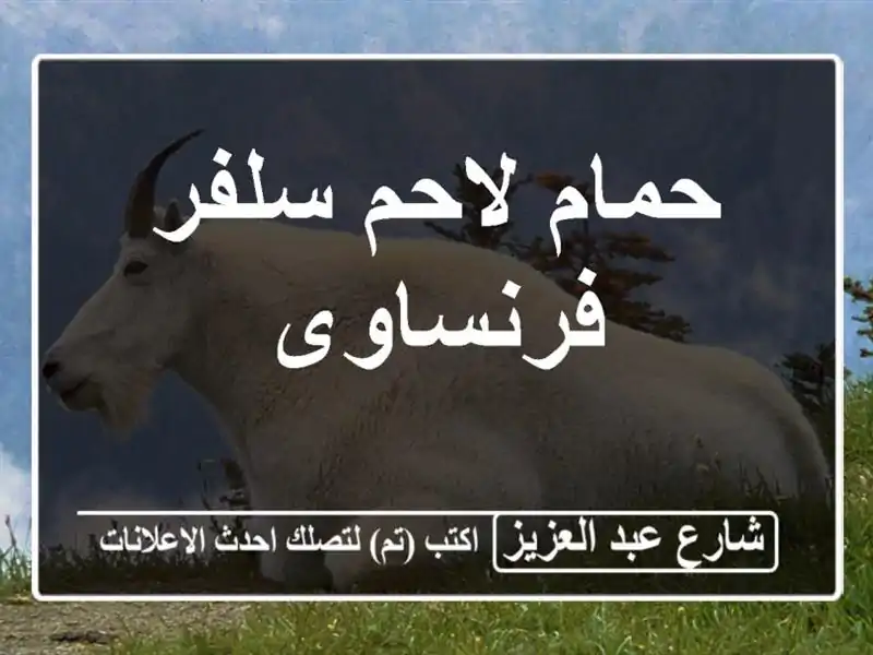 حمام لاحم سلفر فرنساوى