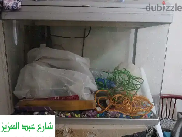 حوض سمك